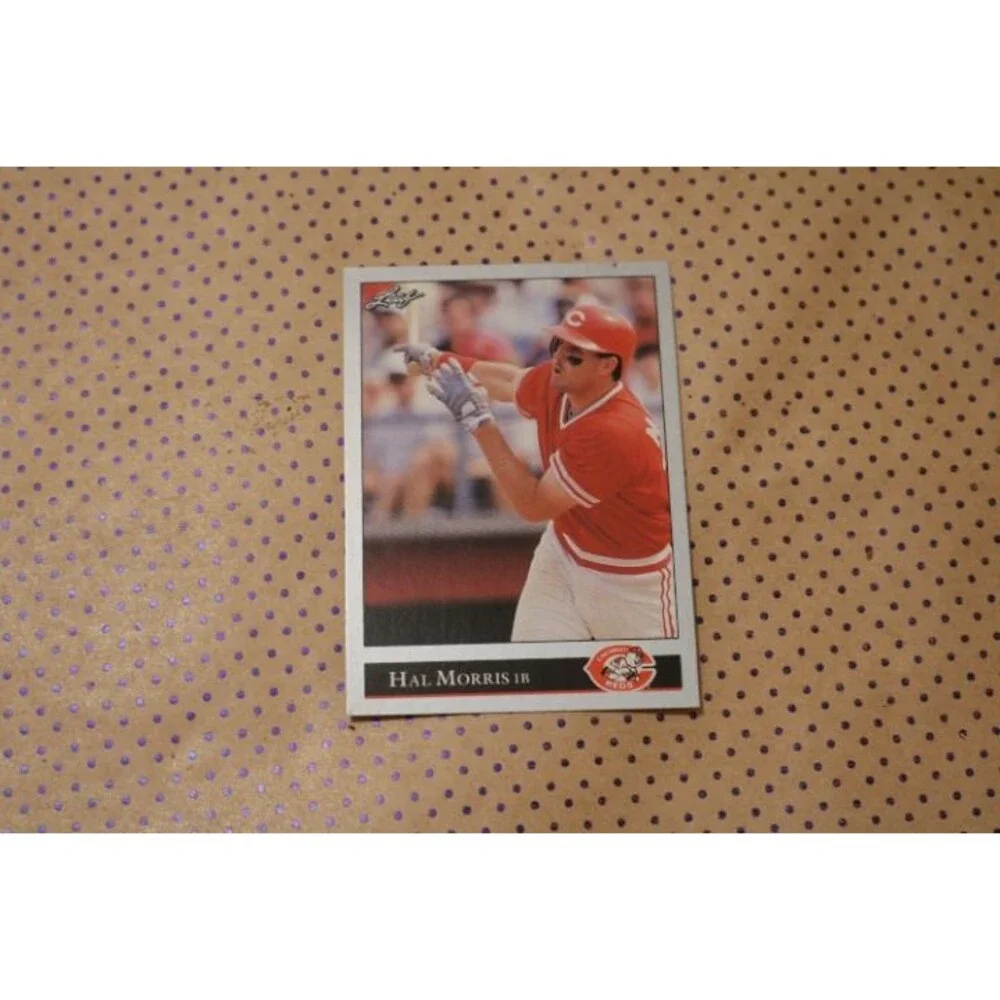 Hal Morris #205 Baseball Card (1992)